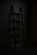 Eclipse — Ladder Bookshelf in a dark luxury setting