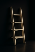 Halo — Ladder Bookshelf in a dark luxury setting